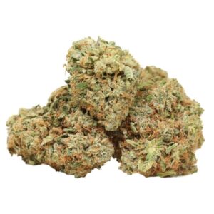 Blackberry Gelato Strain