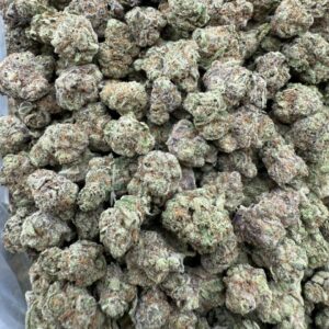 Blueberry Pancakes sm