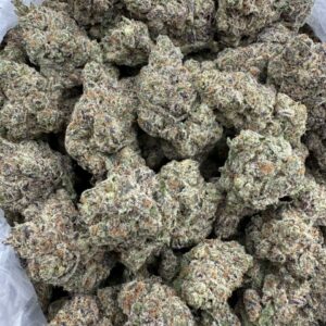 Rainbow Push Pop Runtz